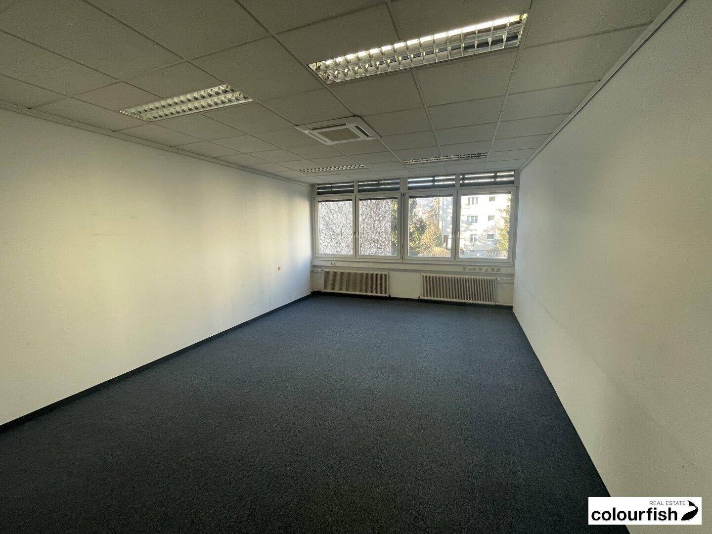Helles, leeres Büro mit Teppichboden, weißen Wänden und großen Fenstern.