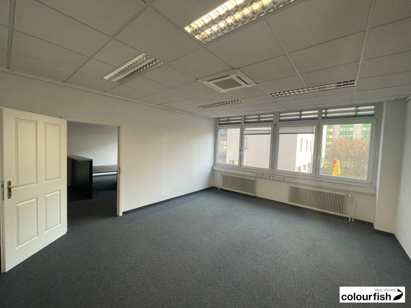 Leeres Büro mit Teppichboden, weißen Wänden und einer offenen Tür zu einem weiteren Raum.