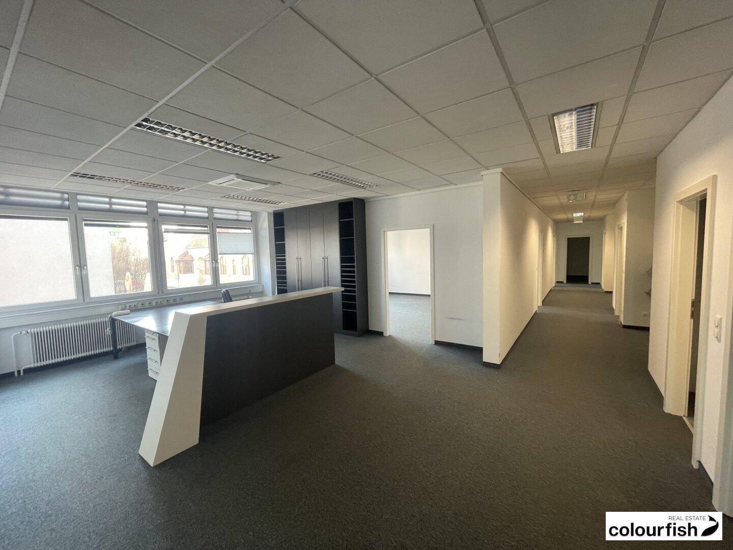 Langer Büroflur mit Teppichboden, Empfangsbereich und Zugang zu mehreren Büroräumen.