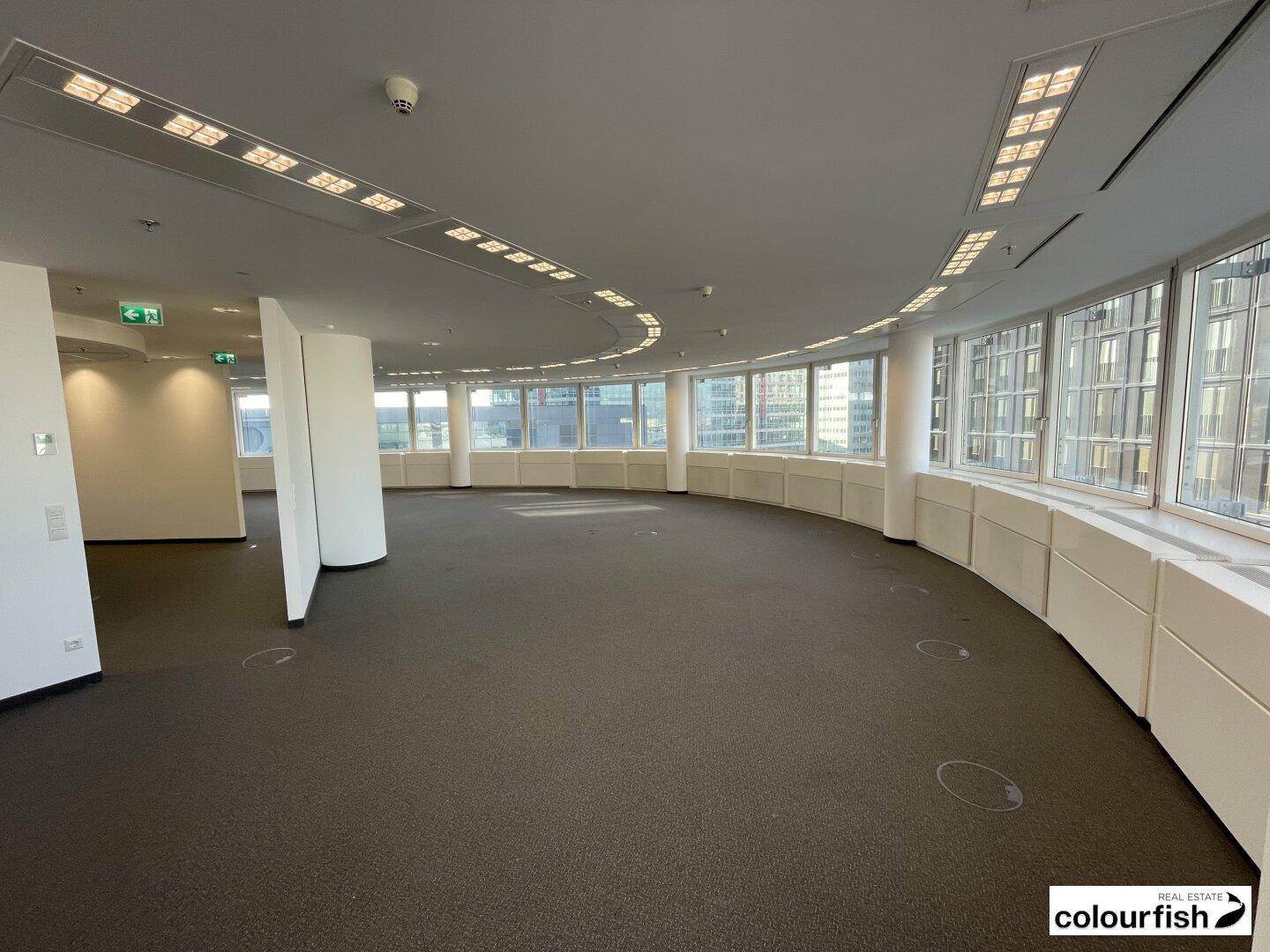 Geräumiger, leerer Büroraum mit Teppichboden und einer langen Reihe gebogener Fenster, die viel Tageslicht hereinlassen.
