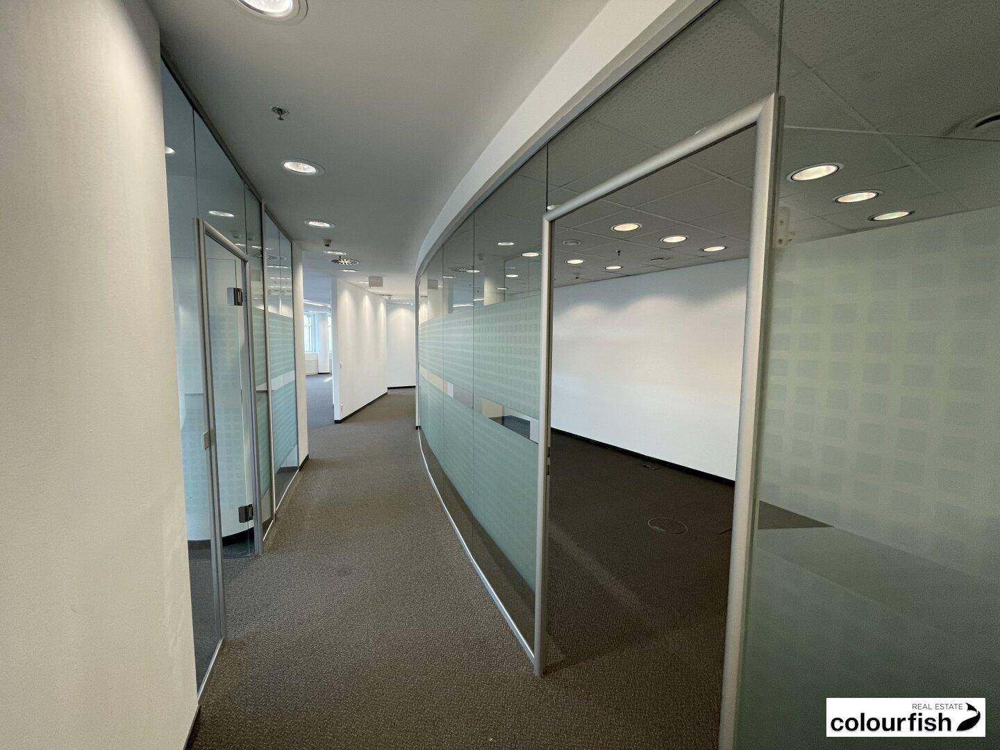 Moderner Bürogang mit Teppichboden und eleganten Glaswänden, die zu den einzelnen Büros führen.