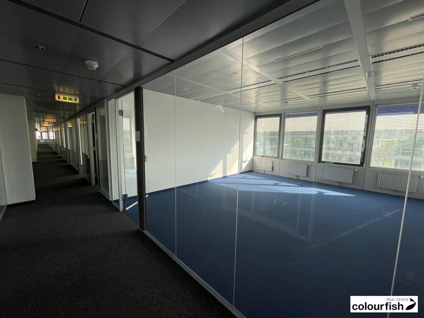 Helles Büro mit blauer Teppichboden, Glaswänden und natürlichem Lichteinfall durch große Fenster.