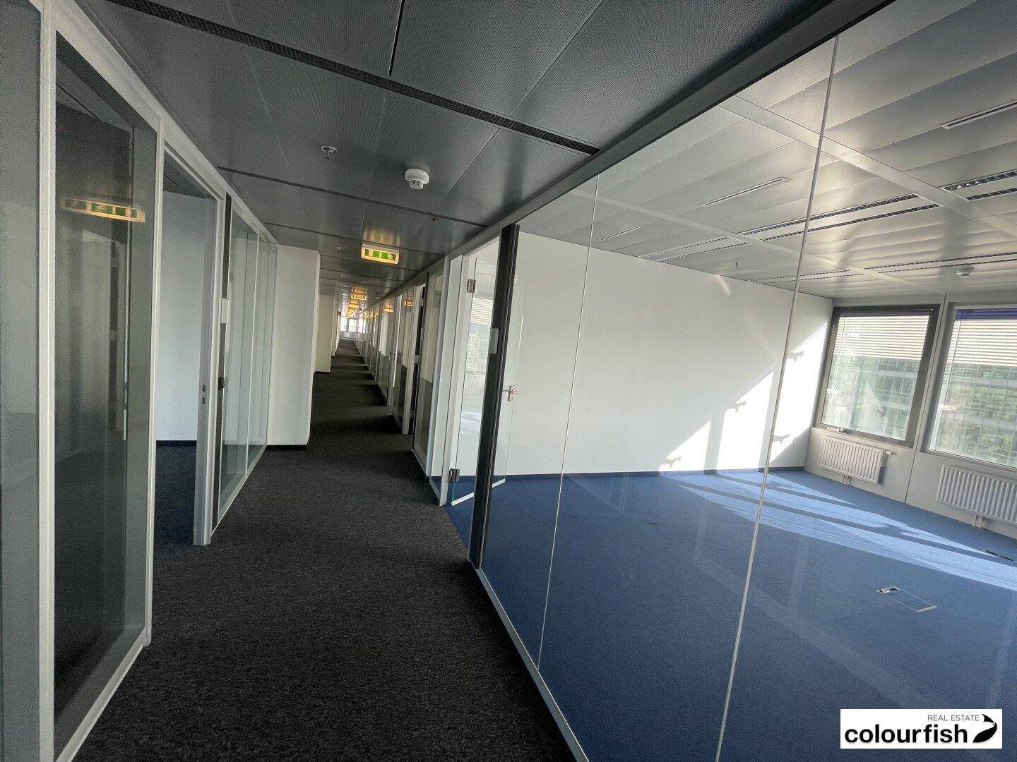 Langer Bürogang mit Glaswänden, dunklem Teppichboden und Blick in helle Büroräume.