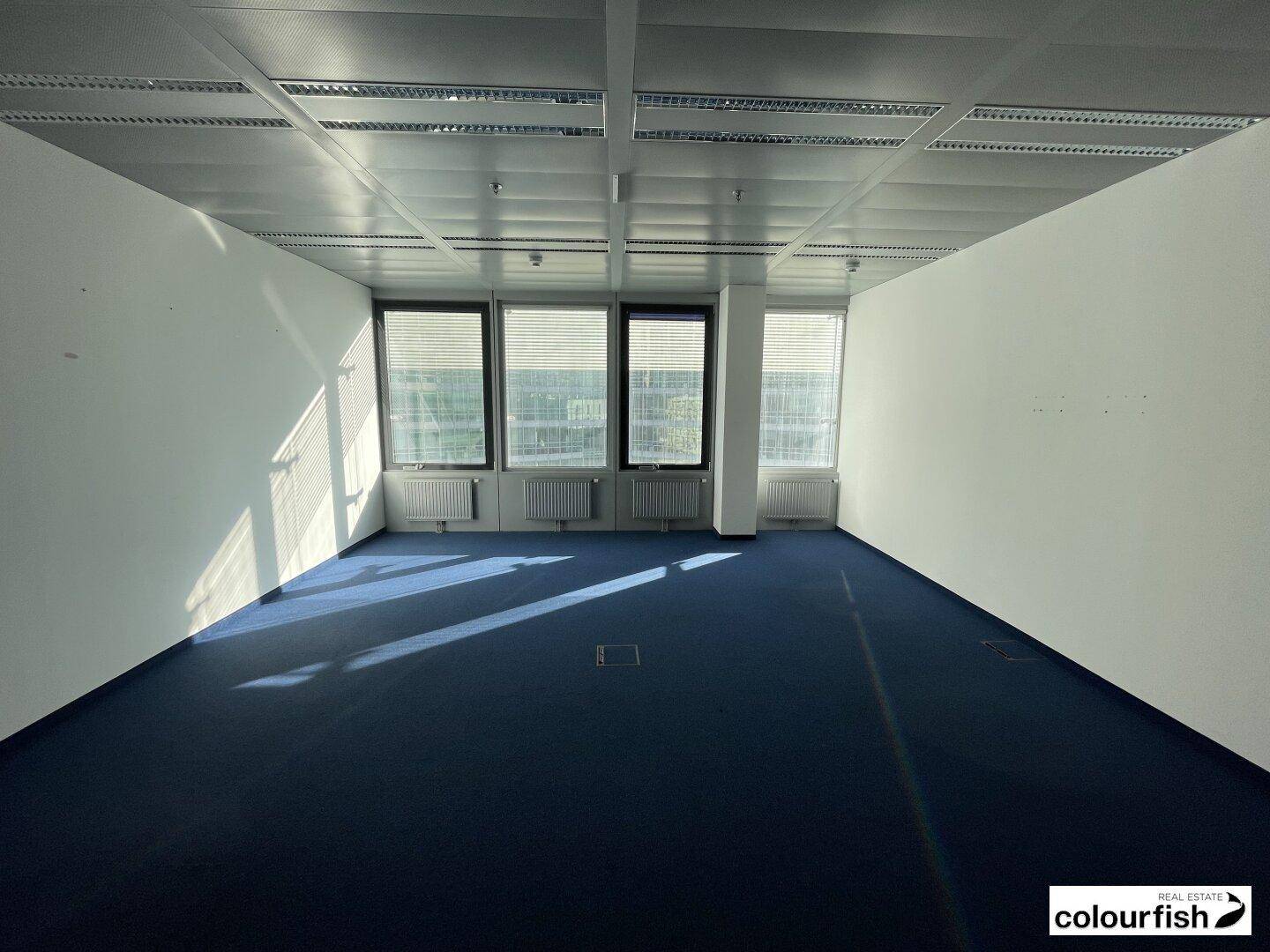 Helles und geräumiges Büro mit blauem Teppichboden und großen Fenstern, die viel Licht hereinlassen.