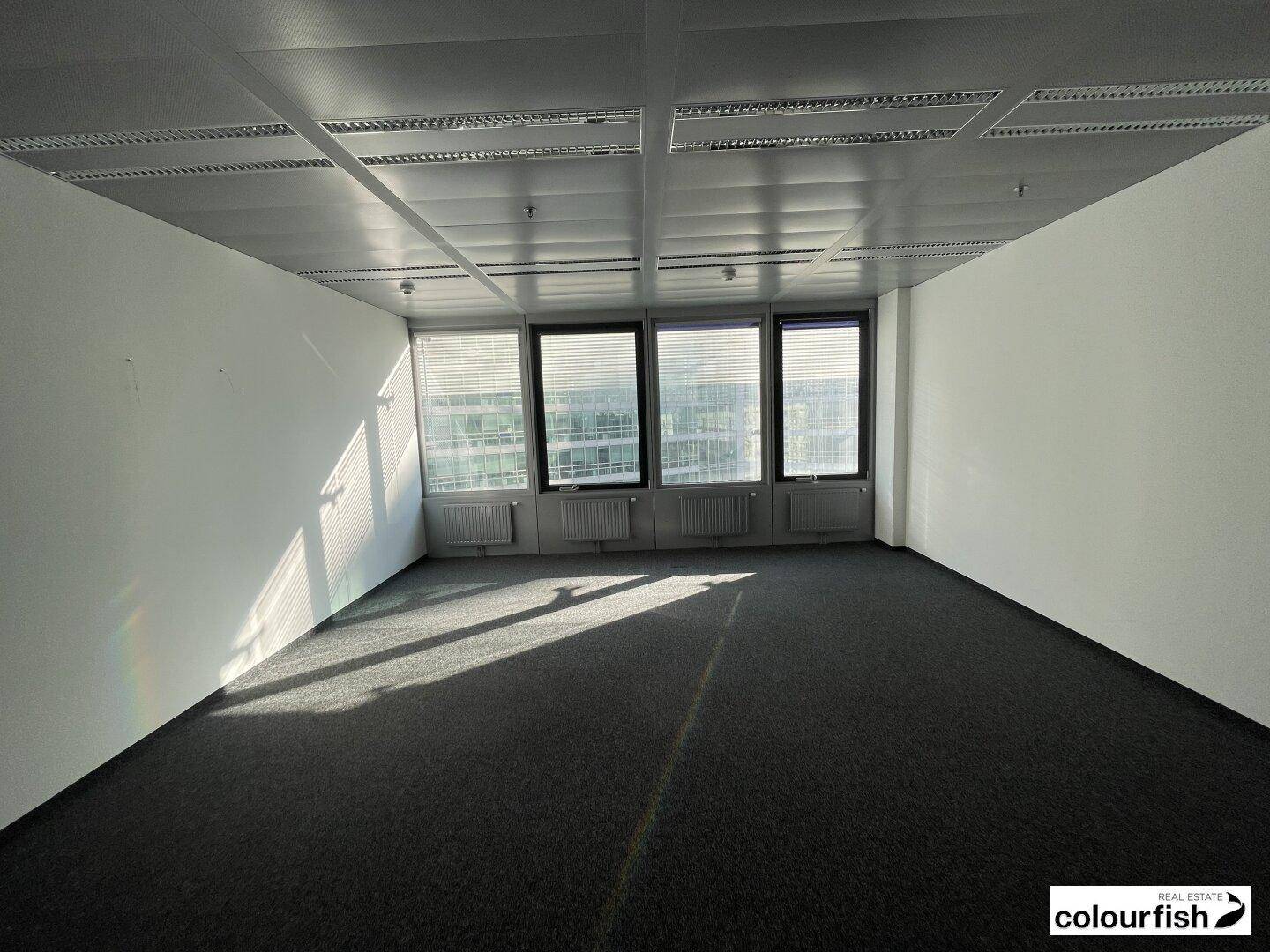 Leeres Büro mit dunklem Teppichboden und breiter Fensterfront, die den Raum mit Sonnenlicht füllt.