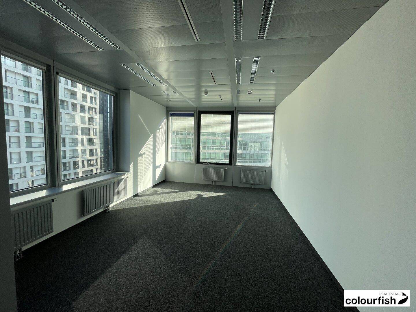 Helles Eckbüro mit dunklem Teppichboden und weitem Blick auf die Stadt durch große Fenster.
