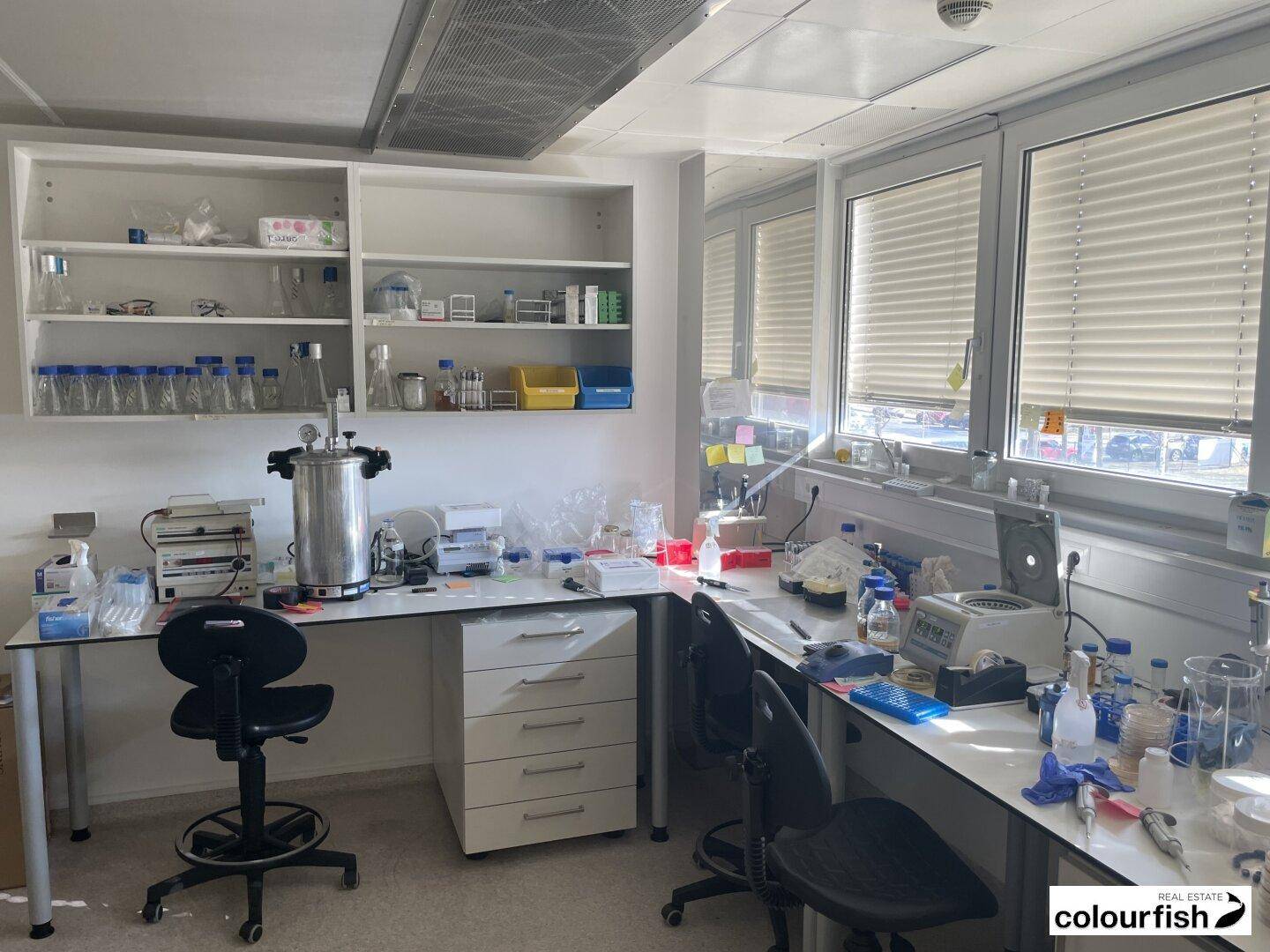 Gut ausgestattetes Labor mit Arbeitsplätzen, Regalen und verschiedenen Geräten für wissenschaftliche Arbeiten und Forschung.