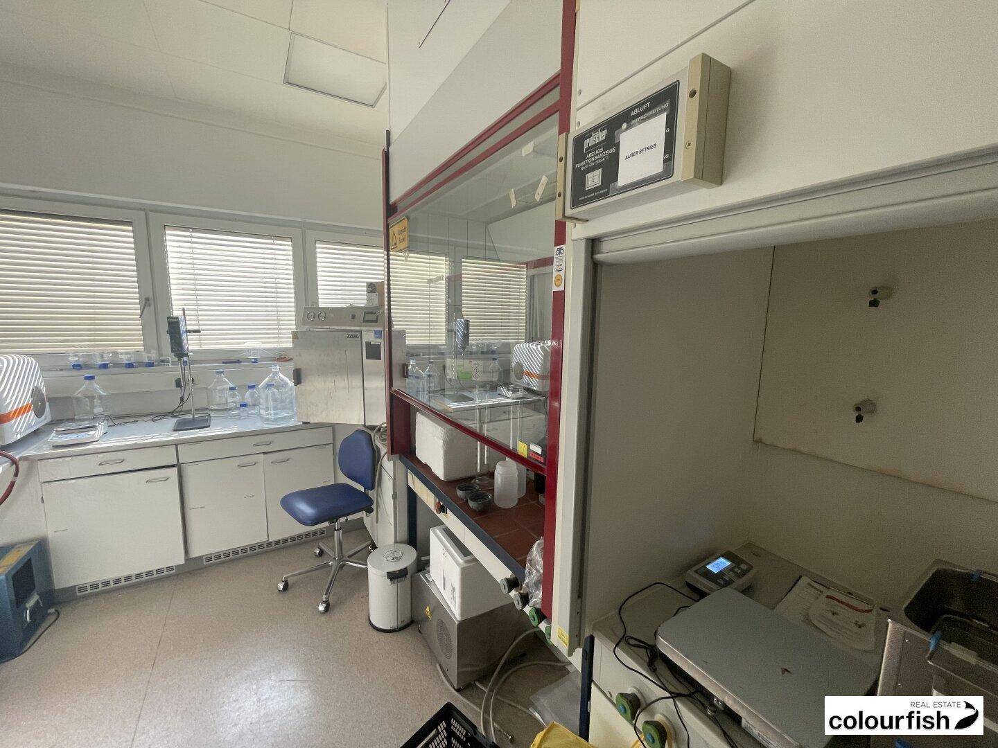Laborraum mit einem Abzugsschrank, Arbeitsflächen und Fenstern, ausgestattet für sicheres Arbeiten und Experimente.