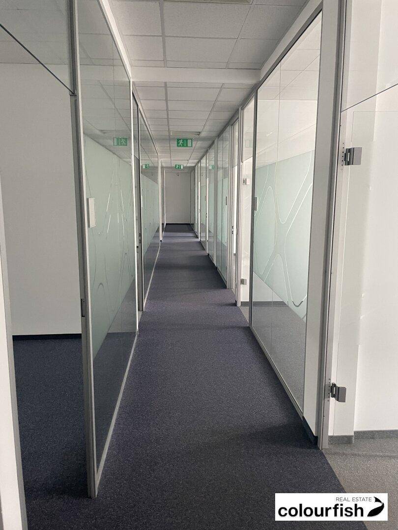 Langer Bürogang mit modernen Glaswänden und Teppichboden, der zu weiteren Büroräumen führt.
