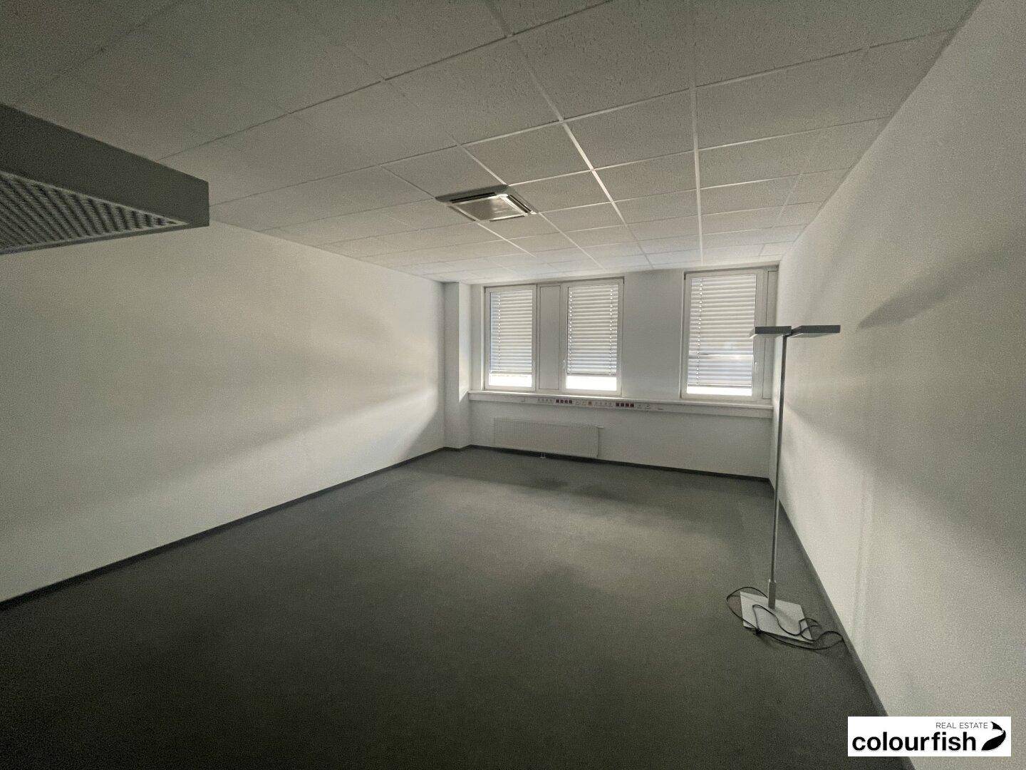 Leeres Büro mit Teppichboden und drei Fenstern, die für ausreichend Tageslicht sorgen.