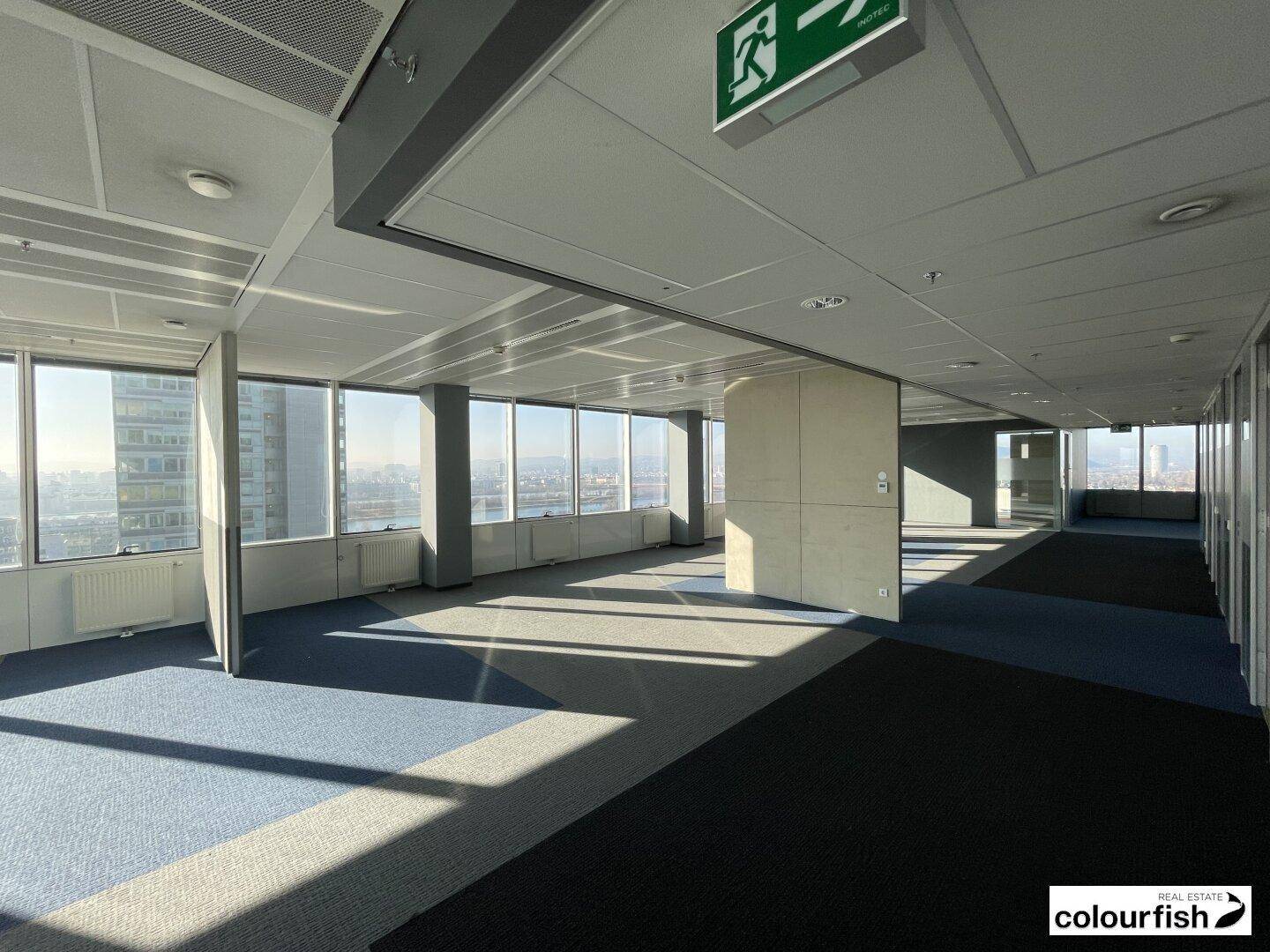 Weitläufiger Bürobereich mit Teppichfliesen in verschiedenen Blautönen und Panoramablick auf die Stadt.