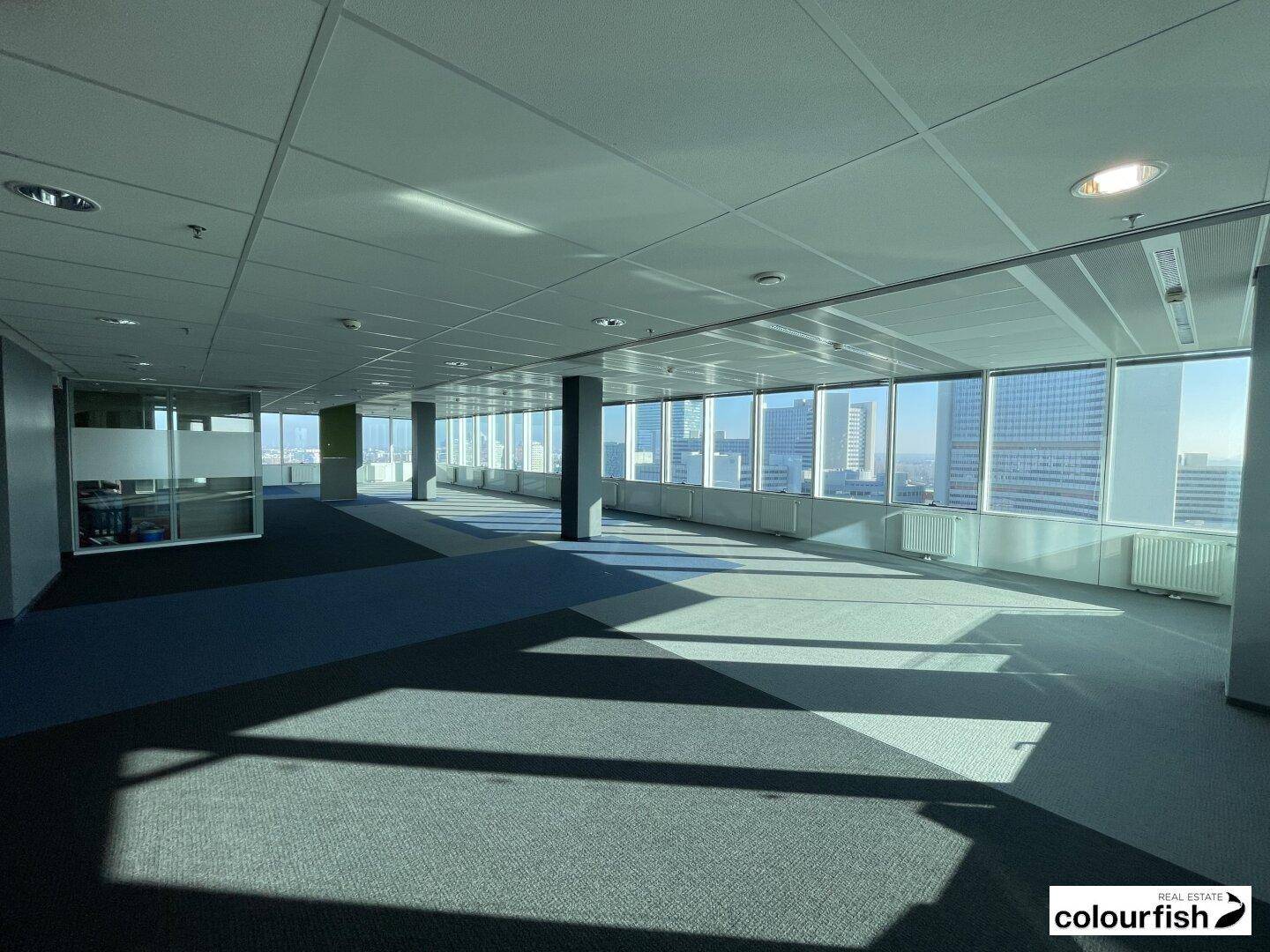 Großes, leeres Büro mit Teppichboden und raumhohen Fenstern, die einen weiten Blick auf die Stadt bieten.