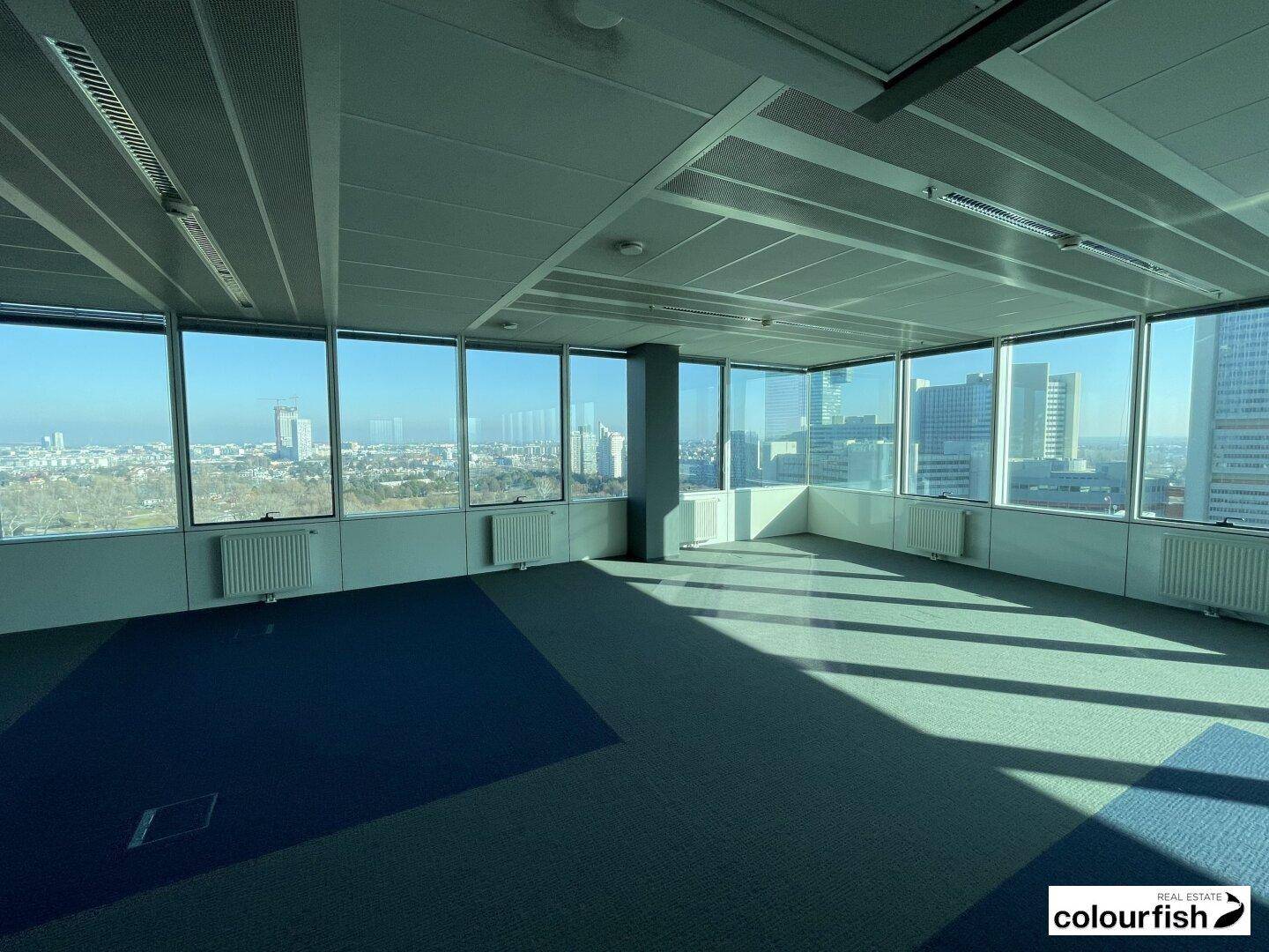 Helles und geräumiges Büro mit Teppichboden und großen Fenstern, die viel Tageslicht hereinlassen.