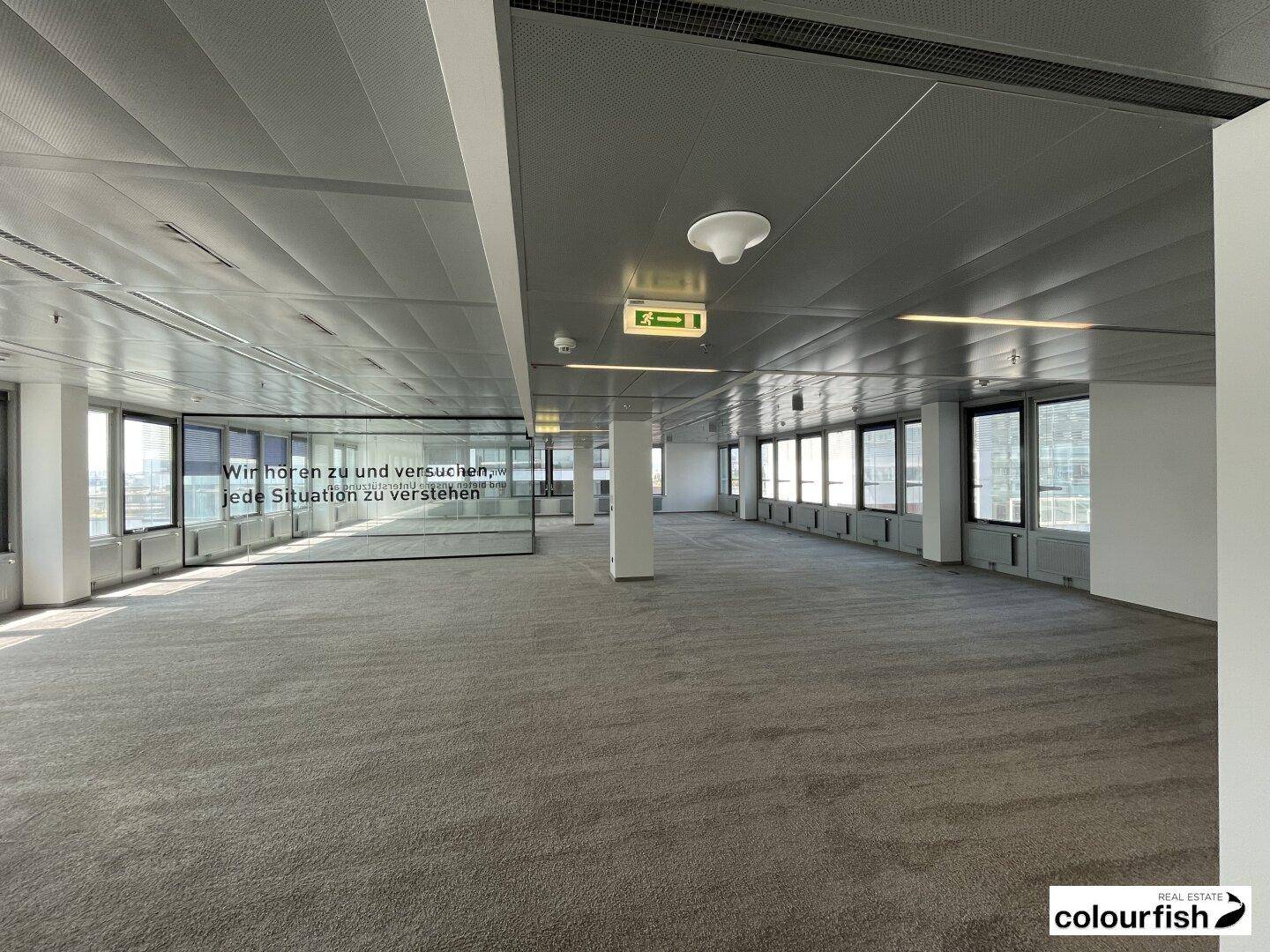 Großes, offenes Büro mit Teppichboden, vielen Fenstern und moderner Deckenbeleuchtung.