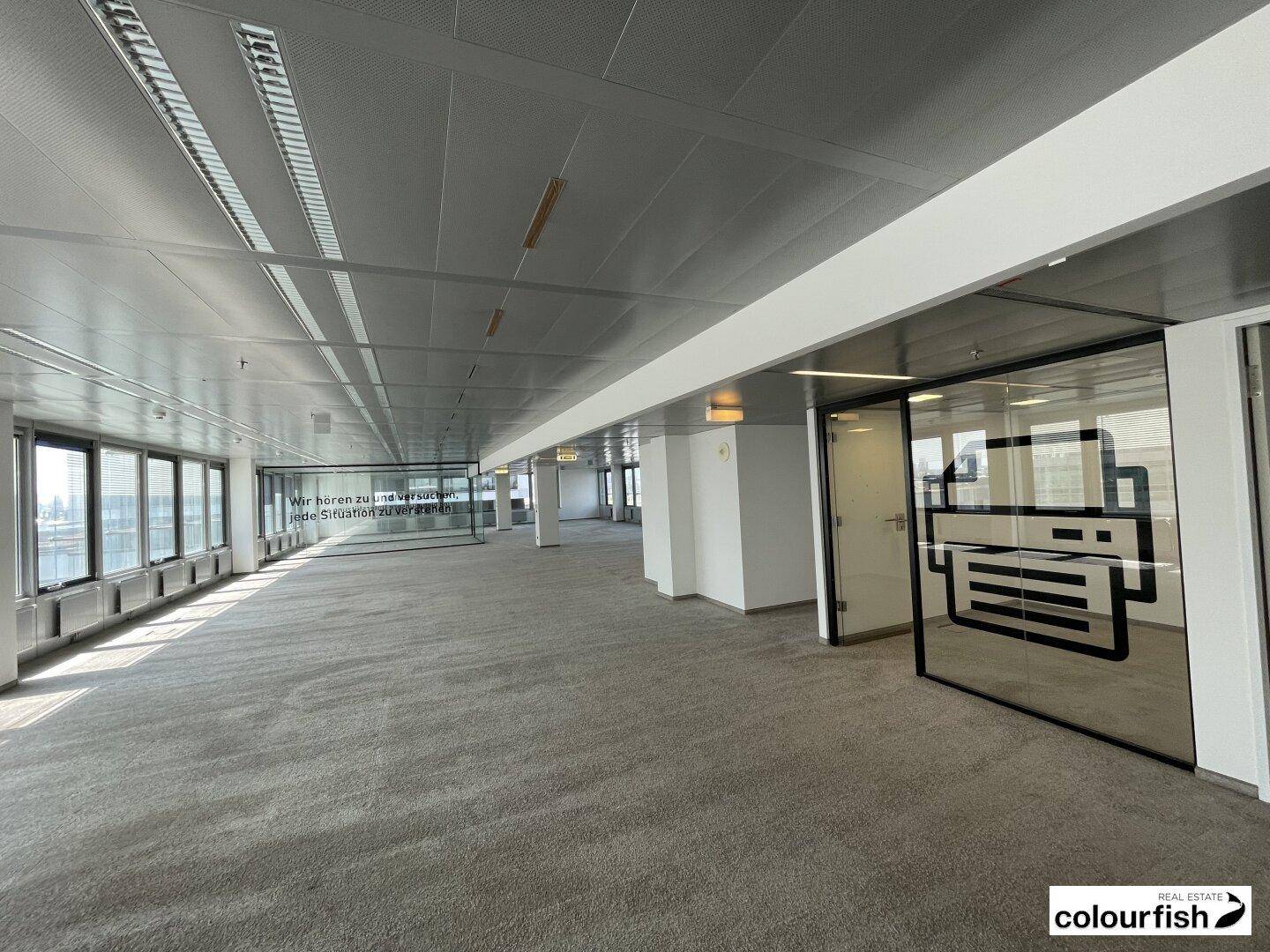 Geräumiges Büro mit Teppichboden, Glaswänden und Blick auf die Stadt durch die Fenster.
