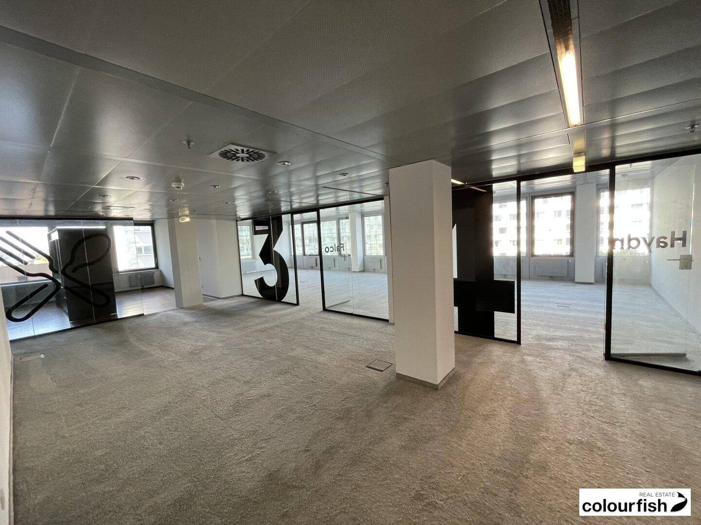 Großes, offenes Büro mit Teppichboden, Glaswänden und viel Tageslicht, ideal für moderne Arbeitsumgebungen.