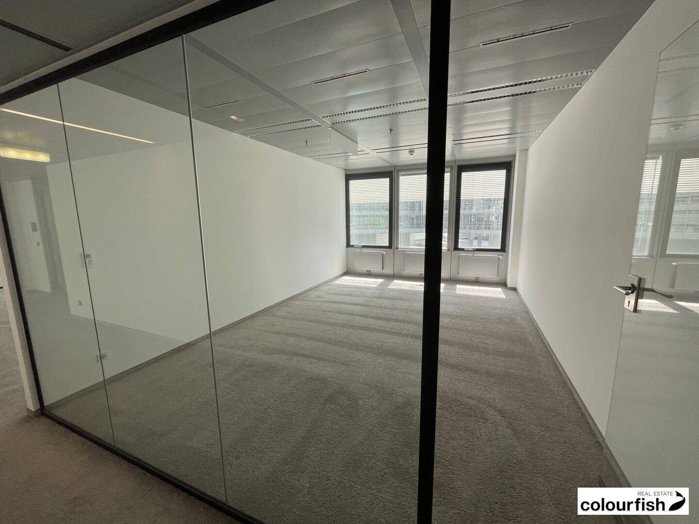 Abgetrennter Büroraum mit Glaswänden, Teppichboden und natürlichem Lichteinfall durch die Fenster.