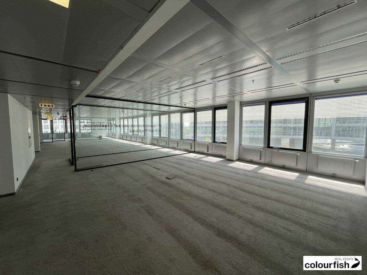 Weitläufiger Bürobereich mit Teppichboden, Glaswänden und einer Reihe von Fenstern mit Jalousien.