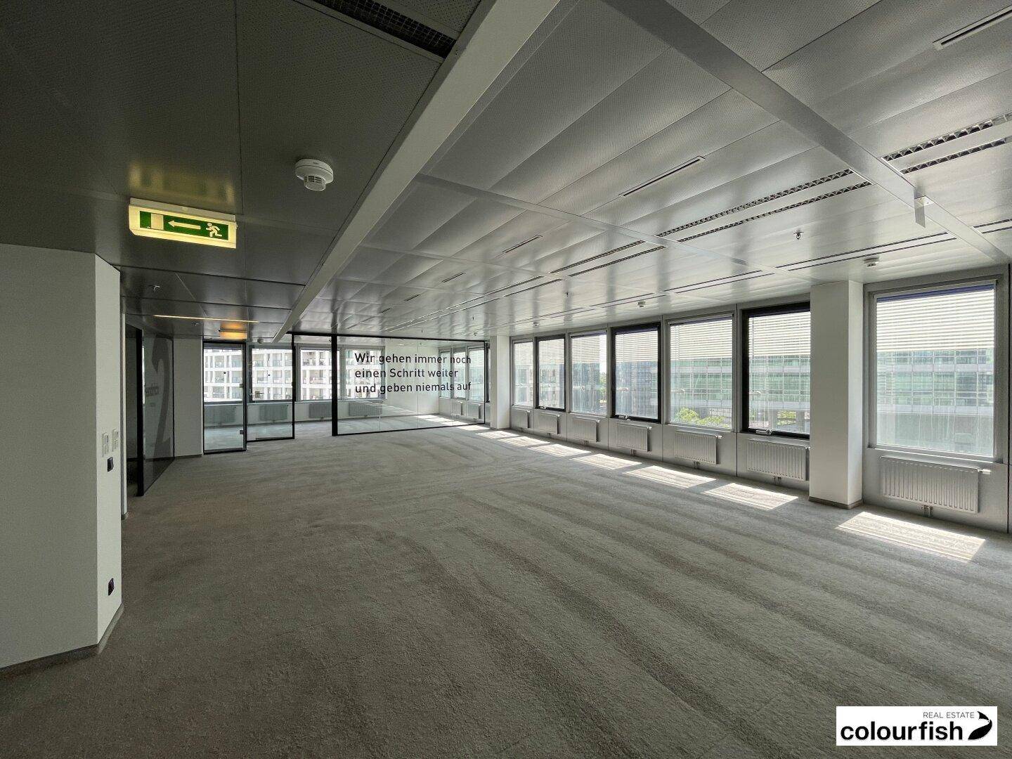 Großzügiger Bürobereich mit Teppichboden, vielen Fenstern und moderner Deckenkonstruktion.