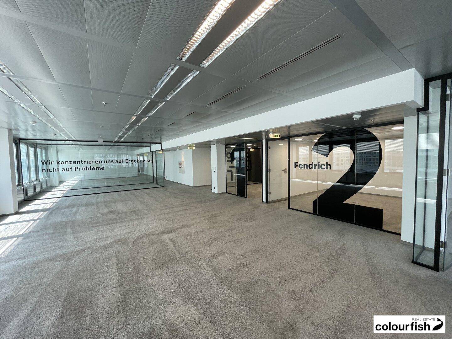 Moderner Bürobereich mit Teppichboden, Glaswänden und integrierten Deckenleuchten.