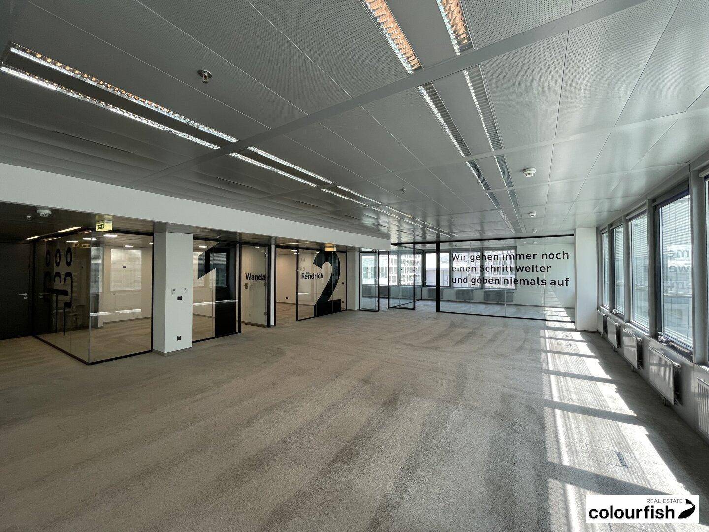 Offener Bürobereich mit Teppichboden, Glaswänden und Blick auf die Umgebung durch die Fenster.