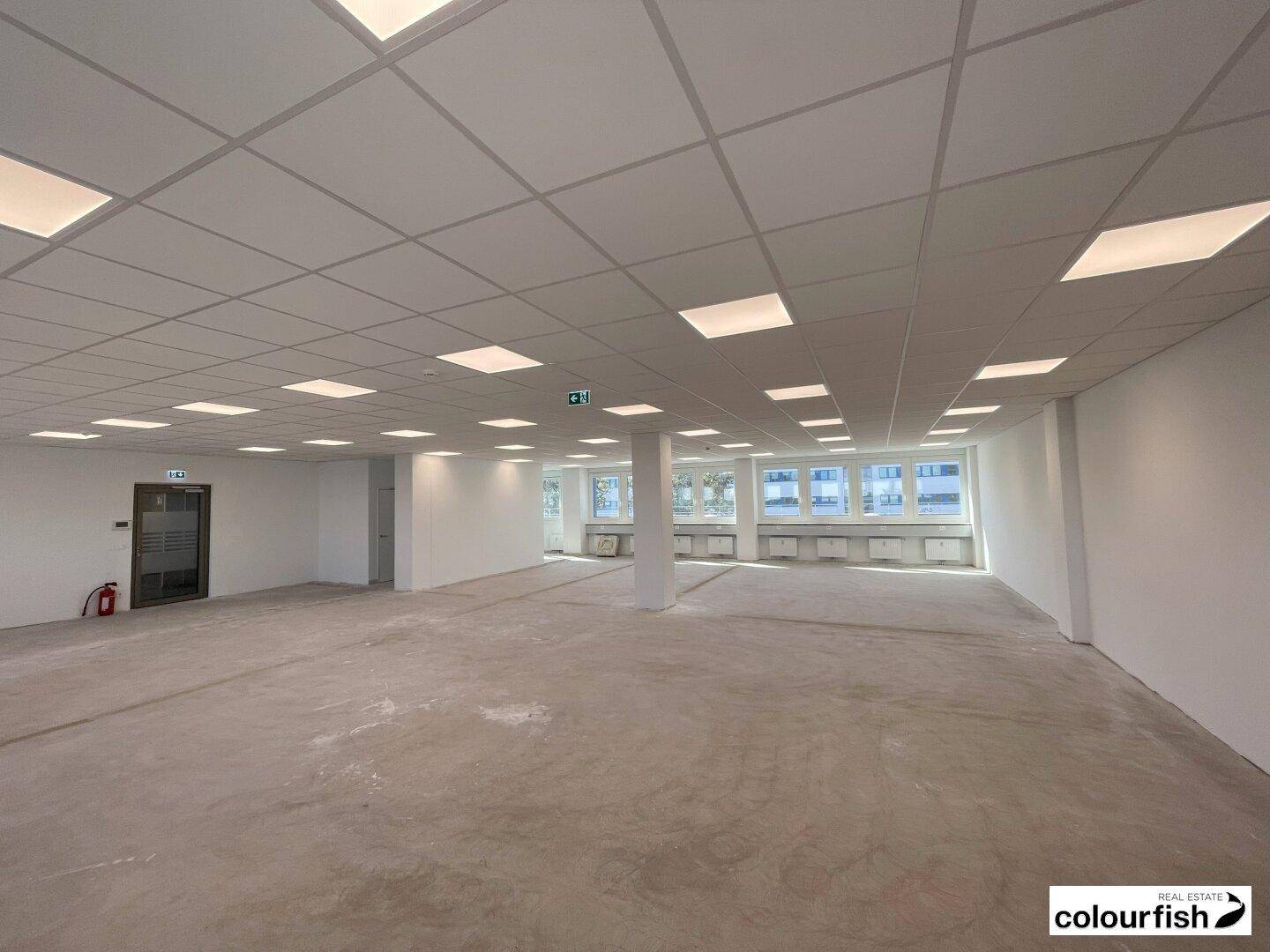 Heller, leerer Büroraum mit Beleuchtung, abgehängter Decke und weitem Blick durch die Fenster.