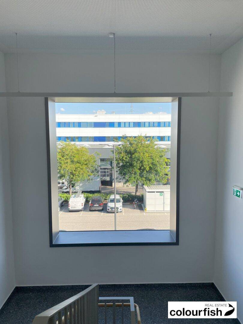 Blick aus einem Treppenhausfenster auf den Parkplatz und ein gegenüberliegendes Gebäude.