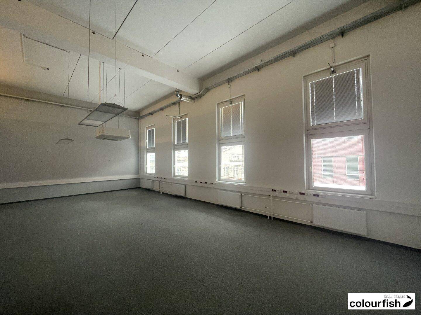 Geräumiger Büroraum mit hohen Decken, Teppichboden und großen Fenstern, die viel Tageslicht hereinlassen.