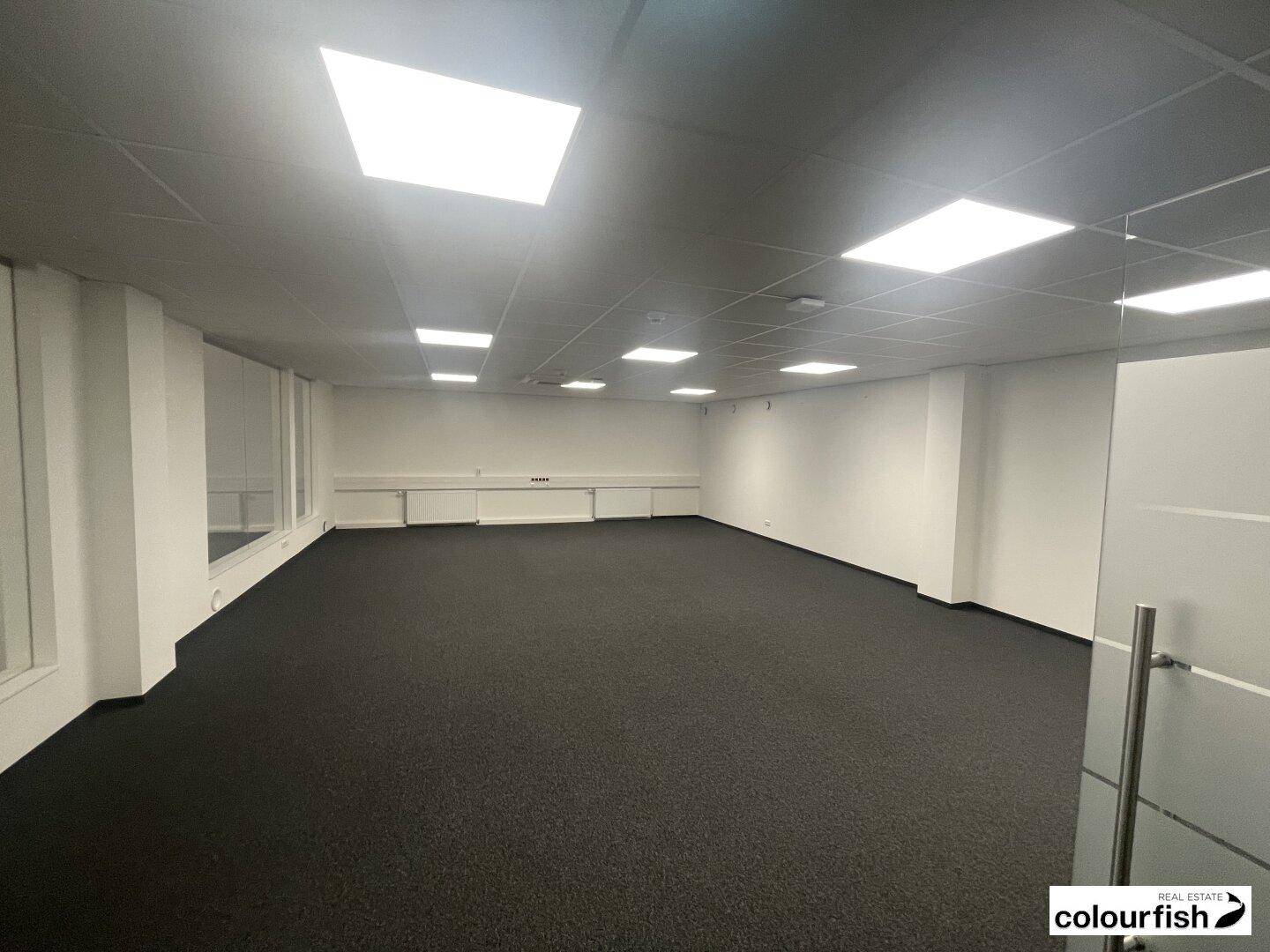 Moderner Büroraum mit abgehängter Decke, integrierter Beleuchtung und dunklem Teppichboden.