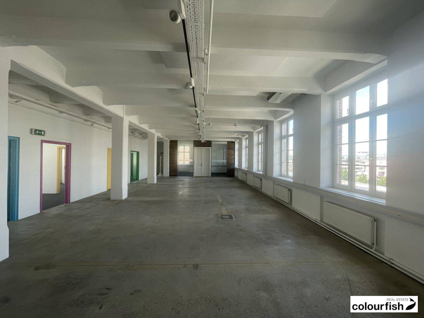Großer, offener Büroraum mit hohen Decken, Betonboden und vielen Fenstern, die viel Tageslicht hereinlassen.