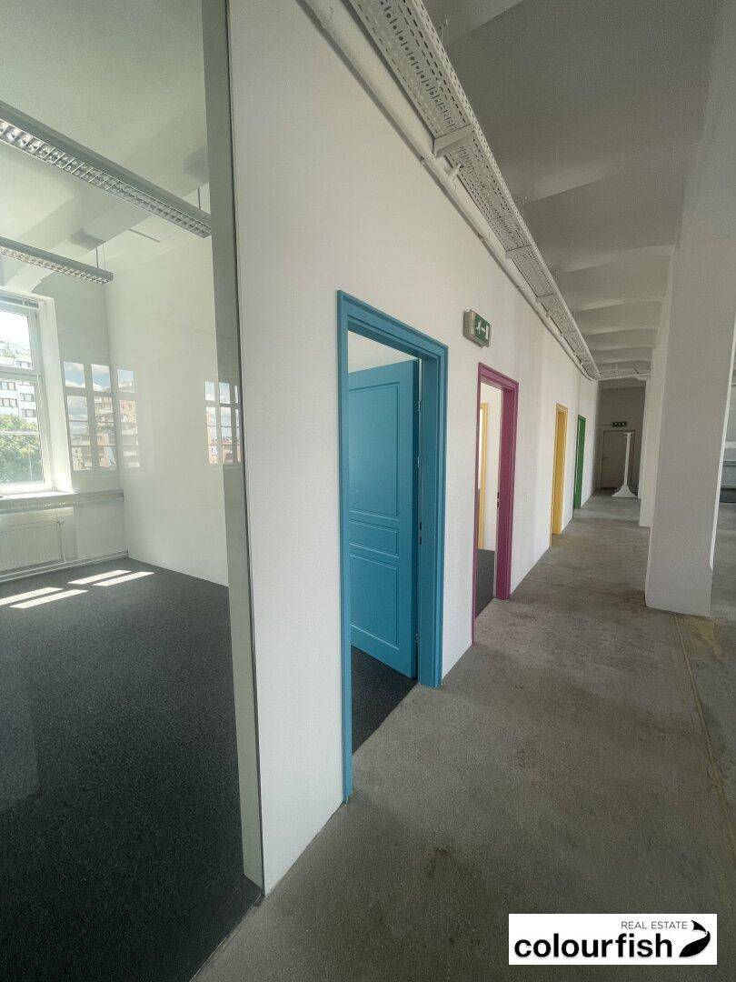 Heller Flur in einem Bürogebäude mit farbigen Türen und Blick in einen angrenzenden Raum mit Glaswand.