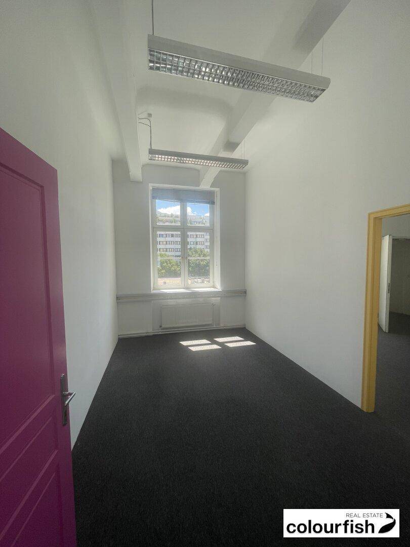 Helles Büro mit dunklem Teppichboden, einem Fenster und einer auffälligen magenta Tür, die den Raum belebt.