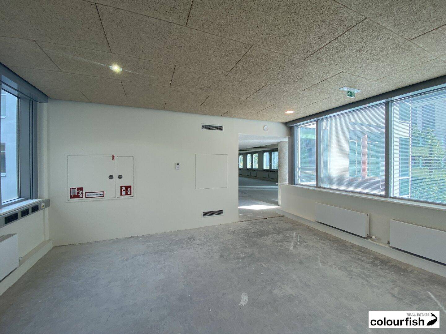 Heller, leerer Büroraum mit großen Fenstern, Akustikdeckenplatten und Betonboden, bereit für den Innenausbau.