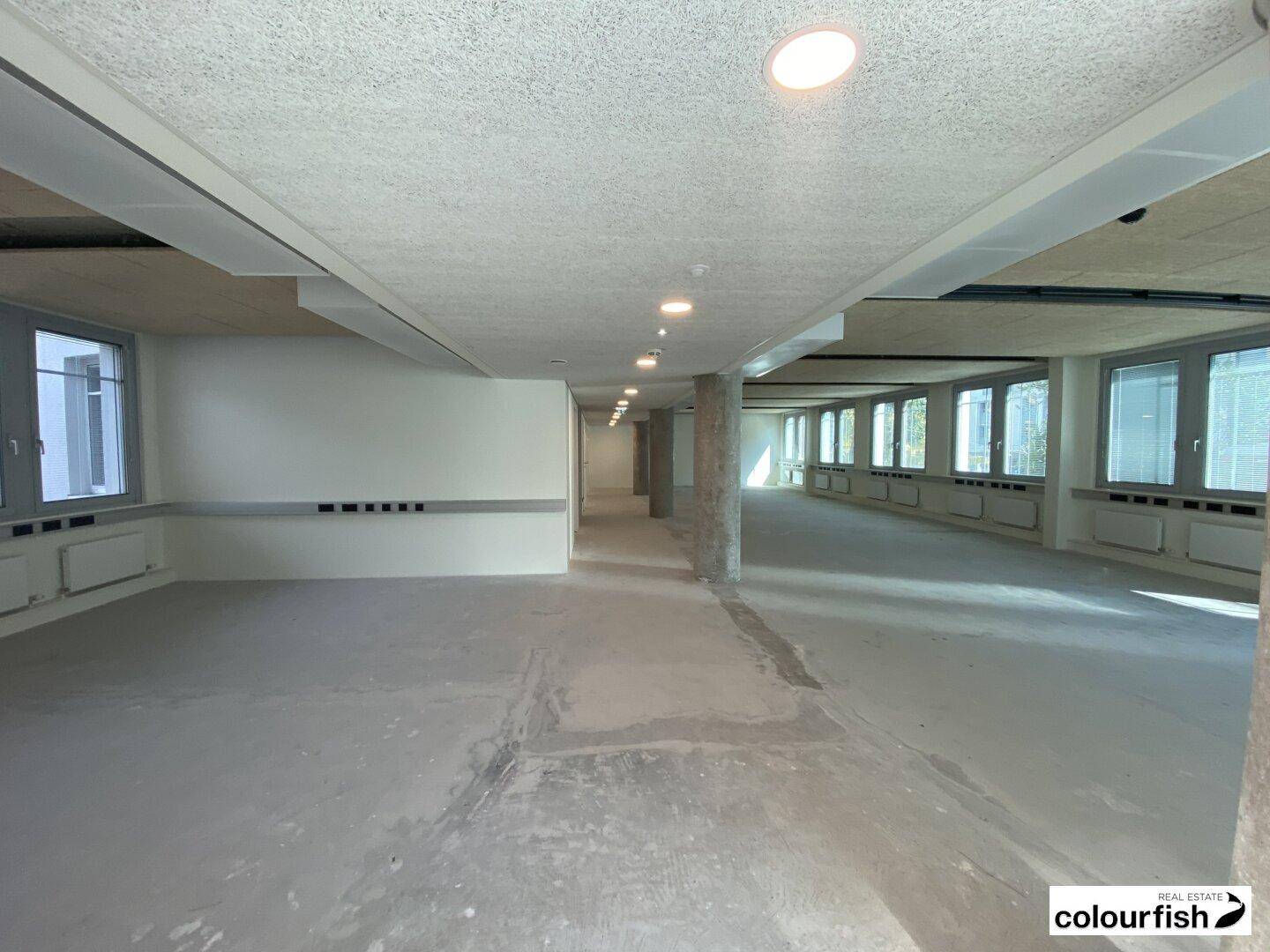 Langer, offener Bürobereich mit Betonboden, vielen Fenstern und moderner Deckenbeleuchtung, ideal für flexible Gestaltung.