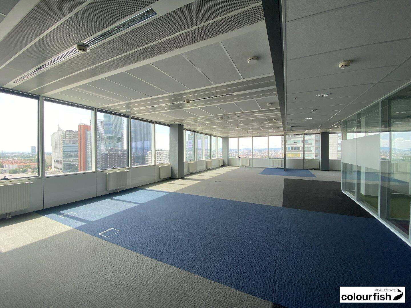Modernes Büro mit Teppichboden, Glaswänden und Panoramablick auf die städtische Skyline.