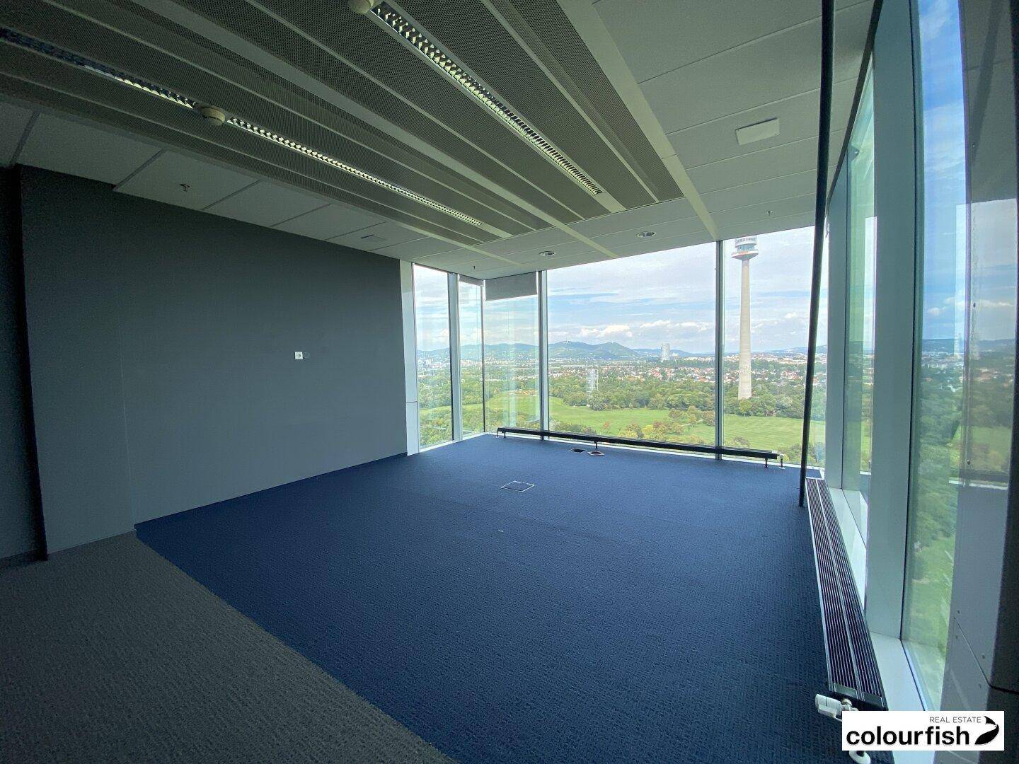 Helles Büro mit blauer Teppichboden und großen Fenstern, die eine weite Aussicht auf die Umgebung ermöglichen.