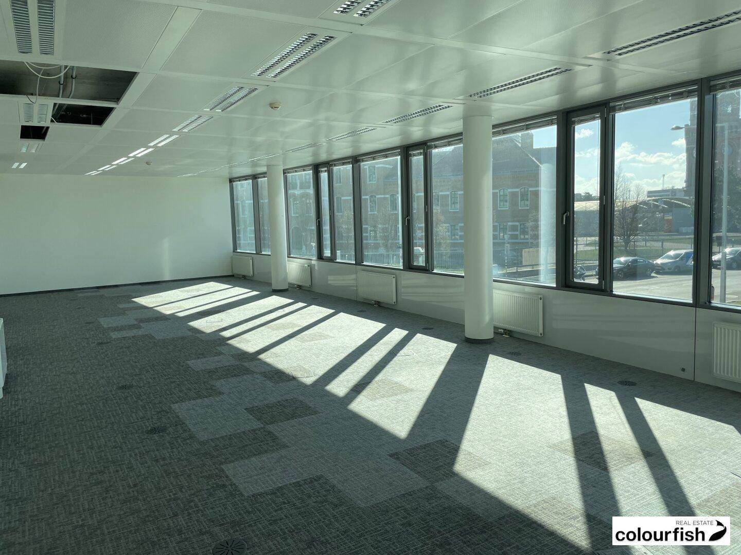 Großer, heller Büroraum mit Teppichboden, vielen Fenstern und moderner Deckenbeleuchtung.