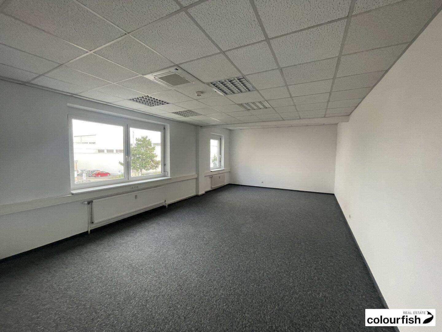 Funktionales Büro mit Teppichboden, weißen Wänden und großen Fenstern, die viel Tageslicht hereinlassen.