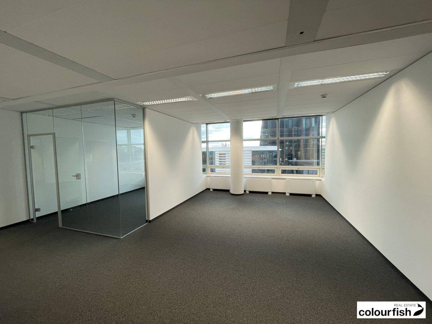 Geräumiges, leeres Büro mit Teppichboden, Glaswänden und großen Fenstern mit Stadtblick.