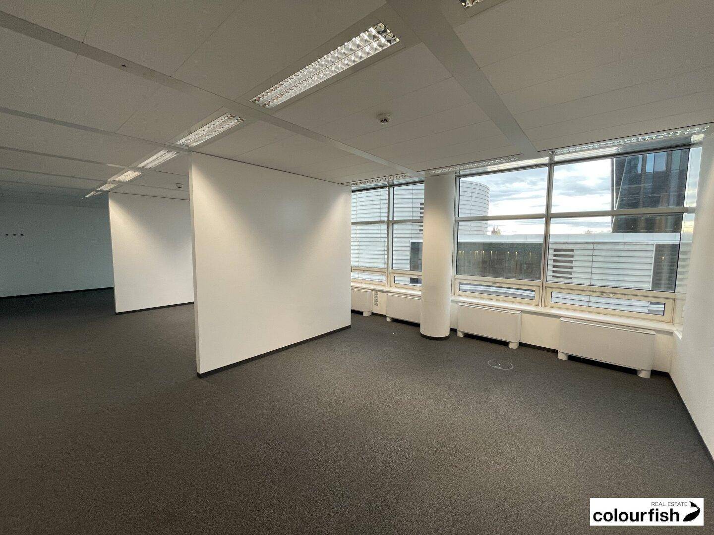 Offenes Büro mit Teppichboden, flexiblen Trennwänden und großen Fenstern für viel Tageslicht.