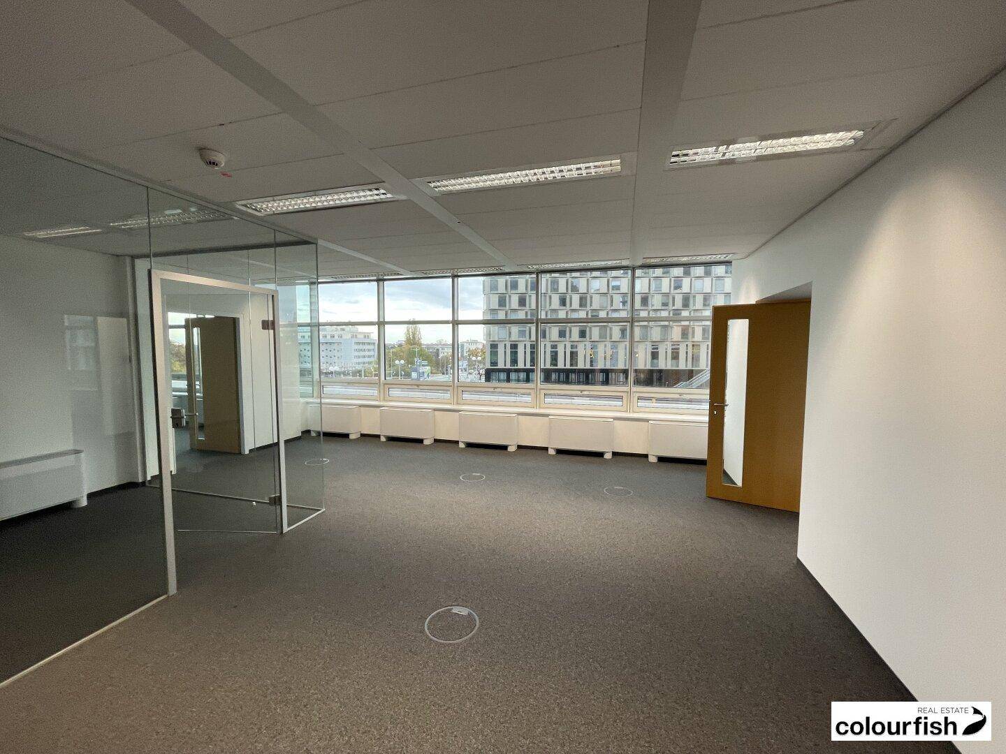 Geräumiges Büro mit Teppichboden, Glaswänden und einer Holztür, die den Zugang ermöglicht.