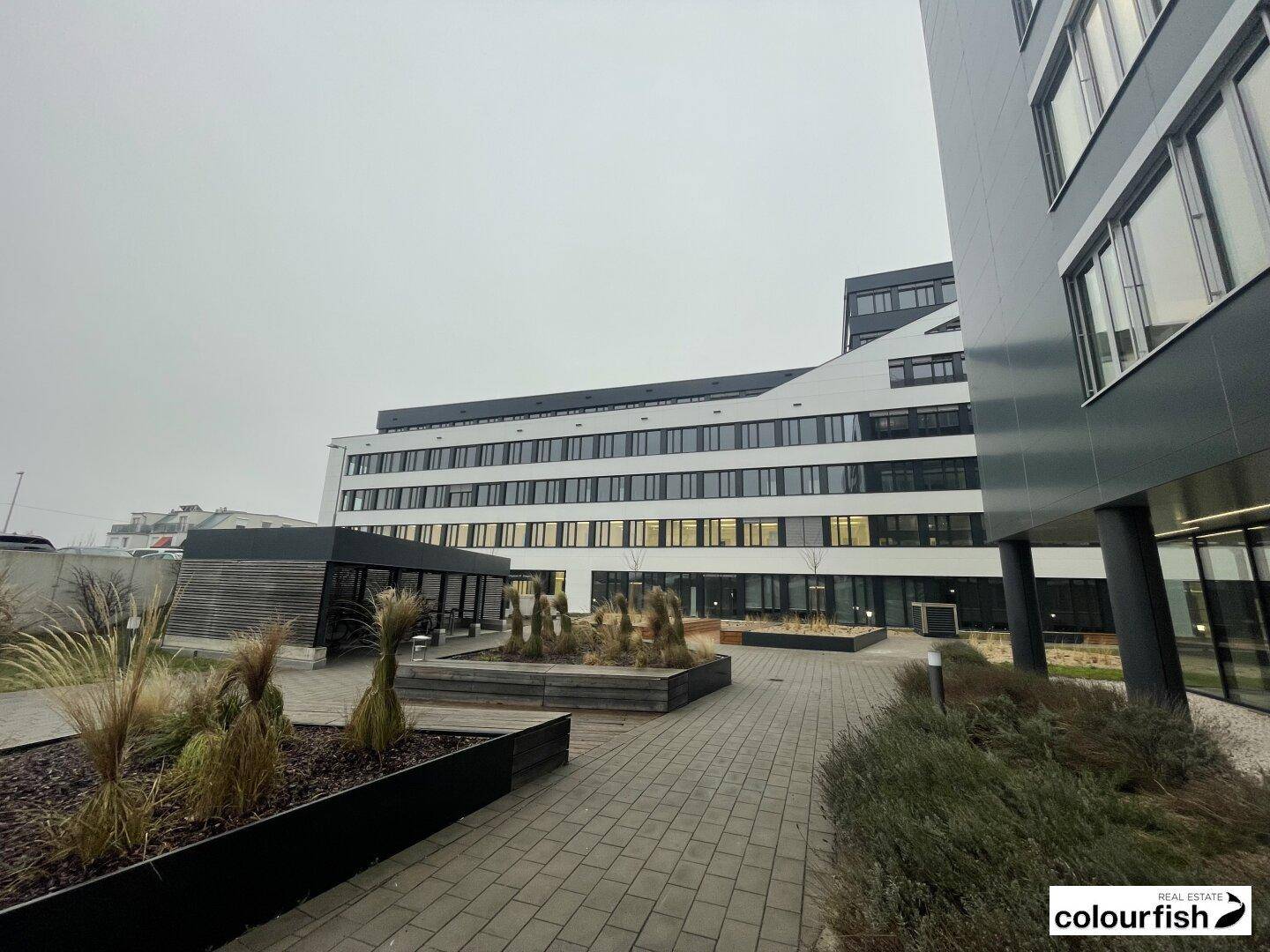 Blick auf den Innenhof eines modernen Bürokomplexes mit gepflasterten Wegen und begrünten Beeten.