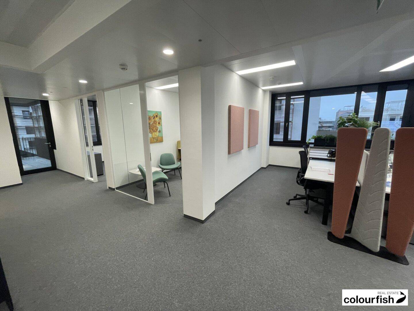 Offenes Büro mit Glasabtrennungen, Teppichboden und modernen Akustikpaneelen für eine angenehme Arbeitsatmosphäre.