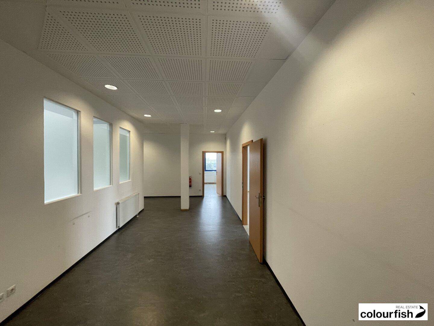 Moderne Bürofläche gegenüber U6 Station Perfektastraße - Ansicht 3