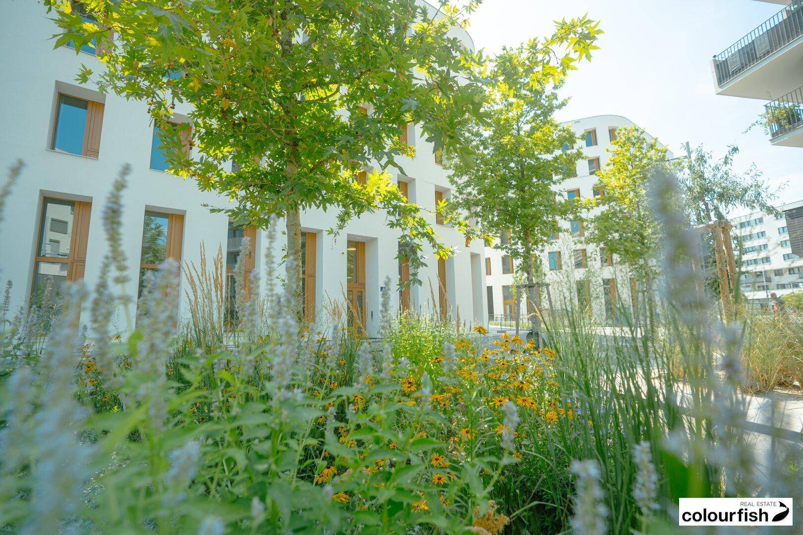 Das ROBIN - energieeffiziente Büros in der Seestadt - Ansicht 6