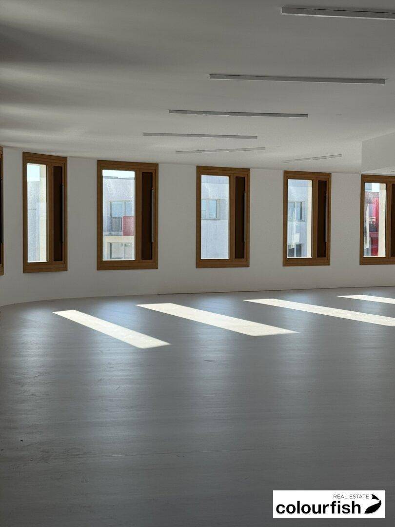 Heller, leerer Raum mit vielen Fenstern und Sonnenlicht auf dem Boden, ideal für Büronutzung.