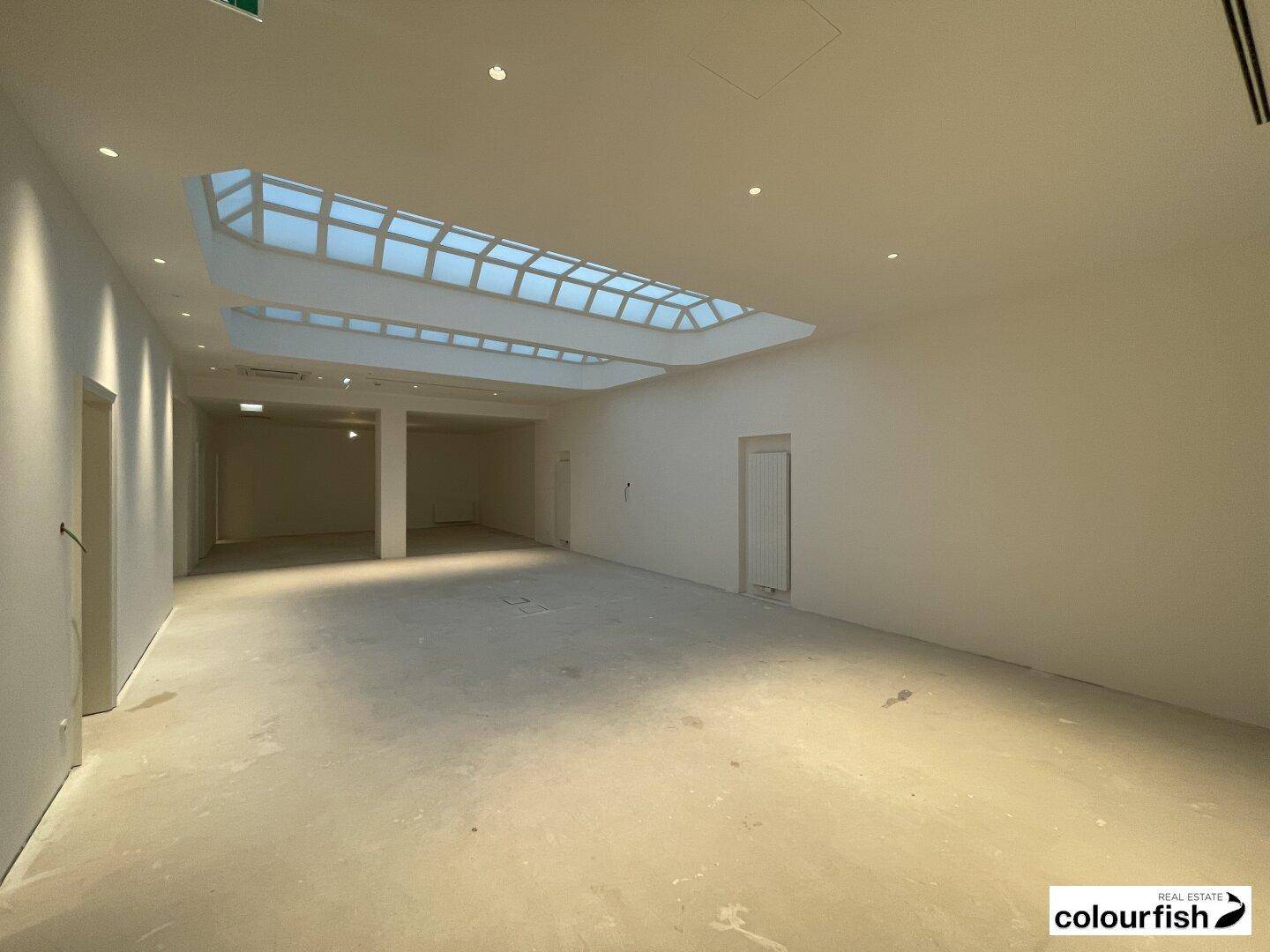 Großer, heller Raum mit beeindruckendem Oberlicht, das viel natürliches Licht spendet.