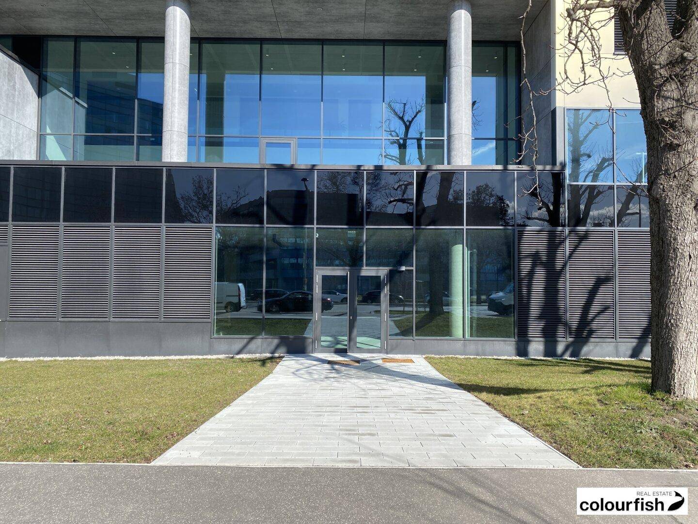 Moderne Gebäudefassade mit großer Glasfront und gepflastertem Zugangsweg, umgeben von Grünflächen und einem Baum.