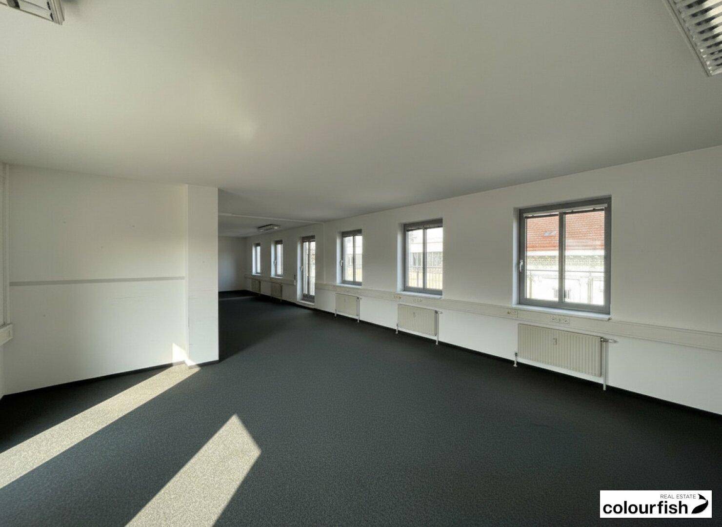 Großes, leeres Büro mit dunklem Teppichboden, weißen Wänden und mehreren Fenstern, die viel Tageslicht hereinlassen.