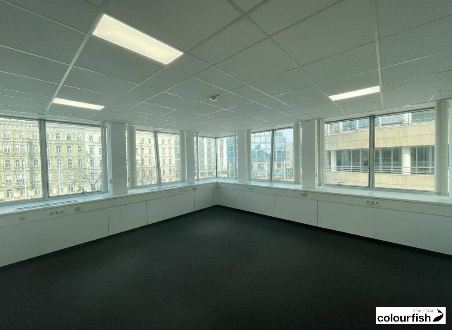 Helles Büro mit großen Fenstern, Teppichboden und abgehängter Decke, bietet viel Tageslicht.